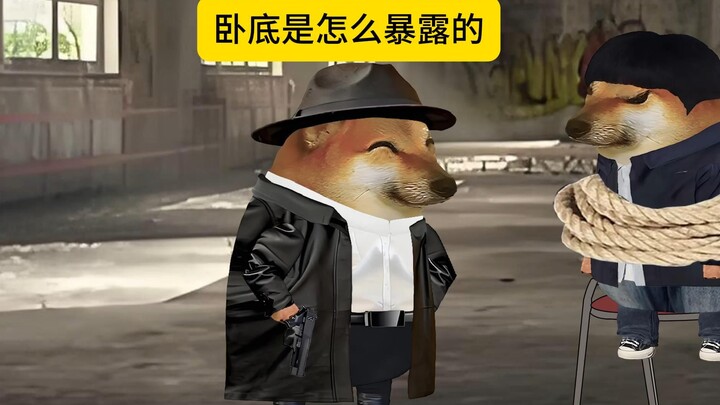 卧底是怎么暴露的