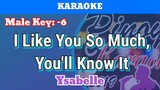 I Like You So Much, You'll Know It by Ysabelle (Karaoke : Male Key : -6)