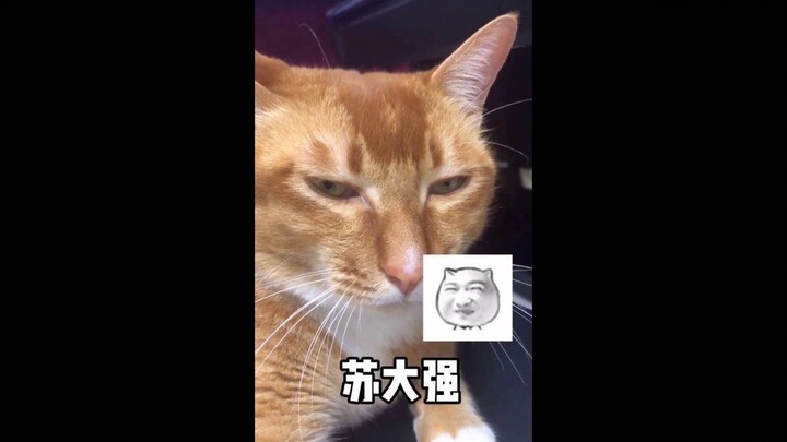 I think my voice sounds pretty similar (deadpan face)