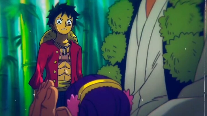 How could Luffy not be heartbroken? That was his big brother, who gave his life to save him!