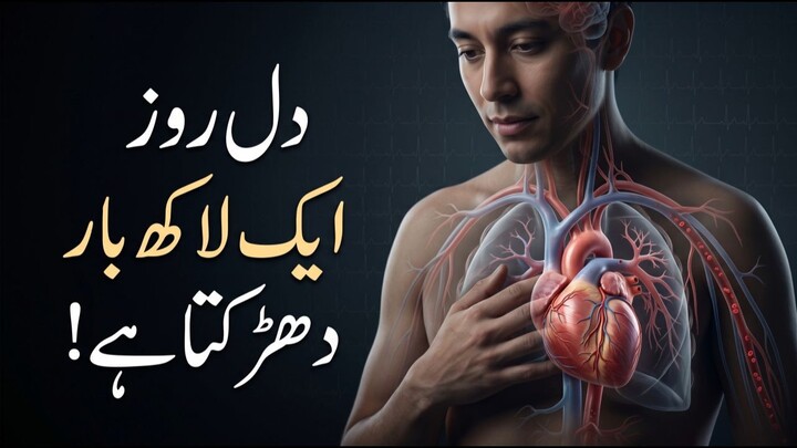 دل روز ایک لاکھ بار دھڑکتا ہے! | انسانی دل کیسے کام کرتا ہے؟