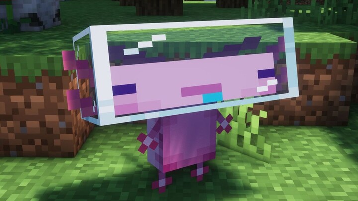 ดู ไปทั้งหมด 【เวอร์ชันซาลาแมนเดอร์เอาตัวรอด】