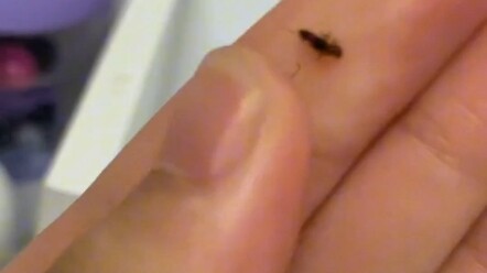 ต้าซาชุน แกจะทำอะไรน่ะ!