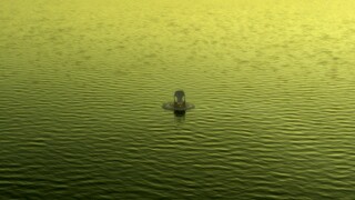 【旅行短片】以色列的绿宝石 死海的日出美如一首诗
