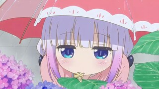 Siapa sangka Naga Terkutuklah yang terkenal itu sebenarnya adalah seorang tsundere?