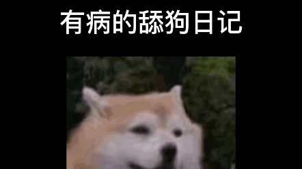 สุนัขเลียที่ป่วย
