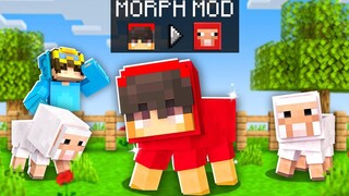 ใช้ MORPH MOD เพื่อโกงใน Minecraft Hide and Seek!