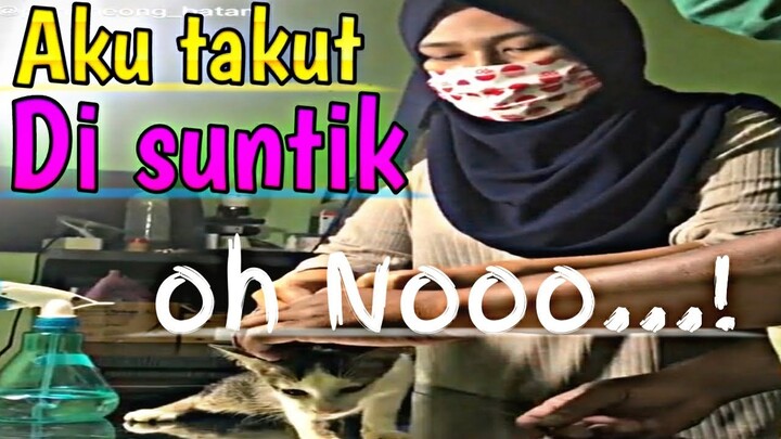 Kucing takut di suntik bikin ketawa 🤣