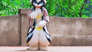 Coba tebak berapa banyak pegas yang harus kamu makan untuk bisa melompat seperti ini~