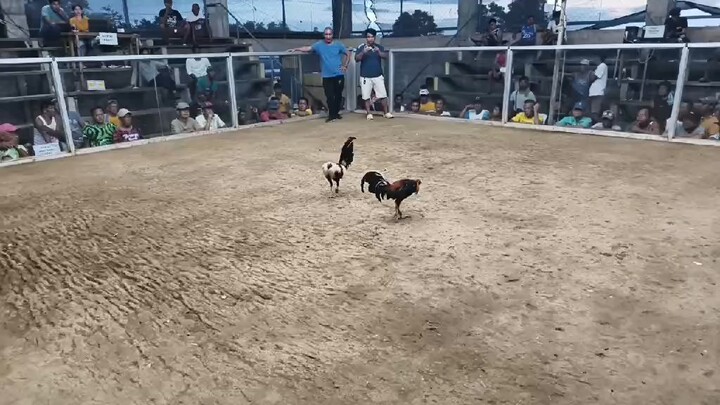 Second fight  win  two times