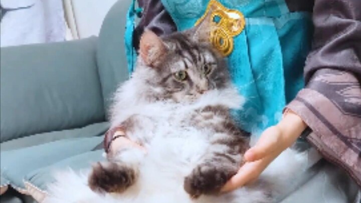 Friendly tip: This video is best enjoyed with headphones!