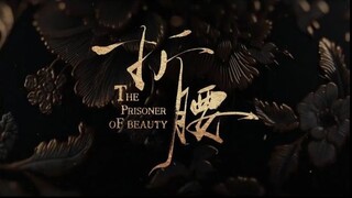 The Prisoner of Beauty