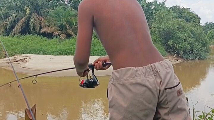 mancing bolo