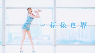 【原理】一花依世界❀旗袍少女❀元宵节快乐(*╹▽╹*)