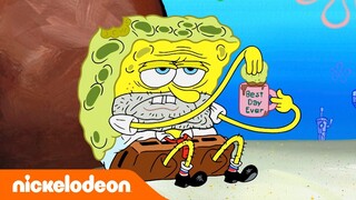 Know Your Nick Shows l Cara Untuk Mendapatkan Pekerjaan Di Krusty Krab  l Nickelodeon Bahasa