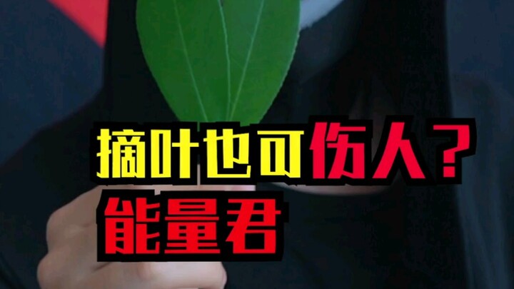 能量君摘叶飞花，树叶能飞吗？今天告诉你