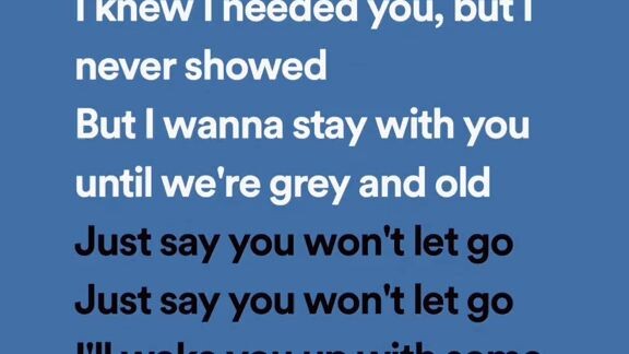 say you won't let go