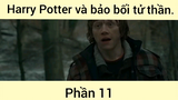 Harry Potter và bảo bối tử thần phần 11