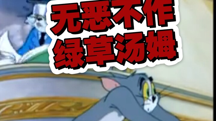 细数汤姆在大连犯下的所有罪行