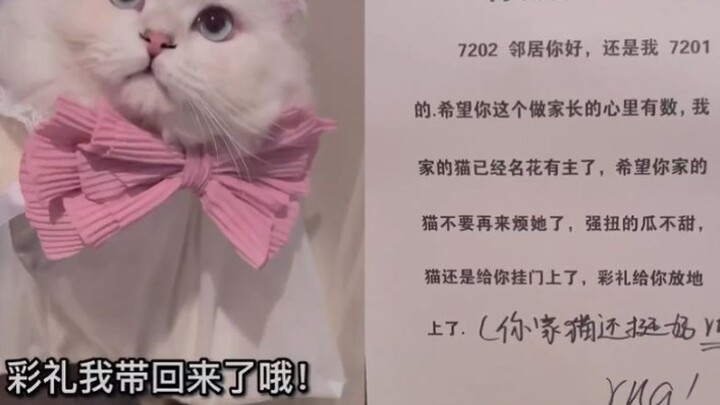 猫咪搞对象被拒，第二天主人带着“彩礼”上门提亲：你家猫还挺好  rua！
