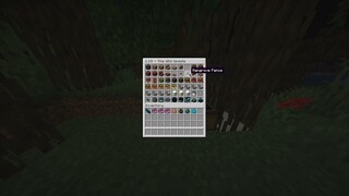 Minecraft - The Wild Update 1.19 - All blocks, mobs and Items! #shorts #minecraft