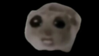 Original source of the singing hamster