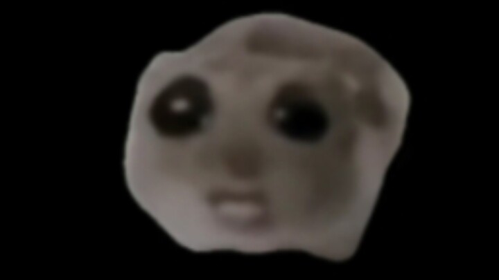 Original source of the singing hamster