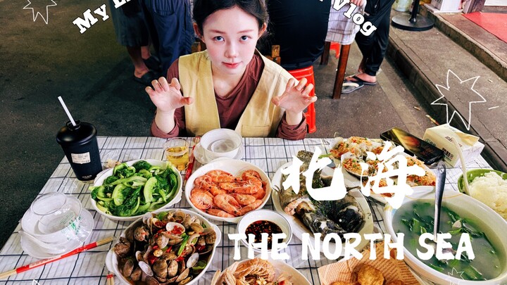 Xiaoba's Beihai, Guangxi Travel Vlog