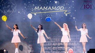 【MAMAMOO】ها هم قادمون لإفساد العرض~هكذا أدوا عندما شاركوا في Produce 101