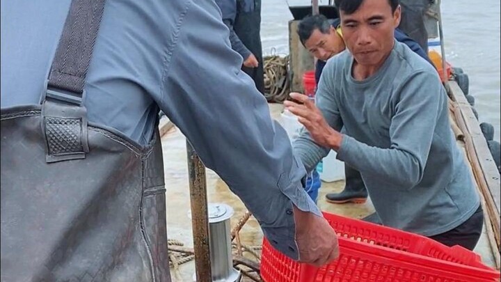 Small bags are a pleasure, big bags are harmful—let’s see if a 500-yuan bag with five networks ends 