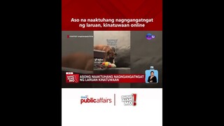 Aso na naaktuhang nagngangatngat ng laruan, kinatuwaan online  #shorts | Dapat Alam Mo!