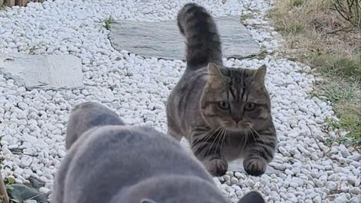 You’re always telling me to lose weight! I’m just built!