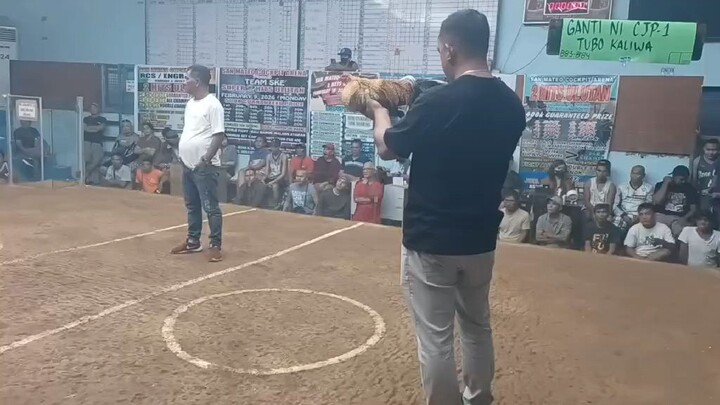 2 hits champion san mateo