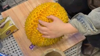 Kotak durian buta