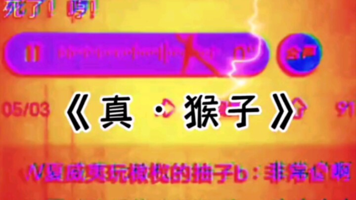 ลิงตัวจริง!