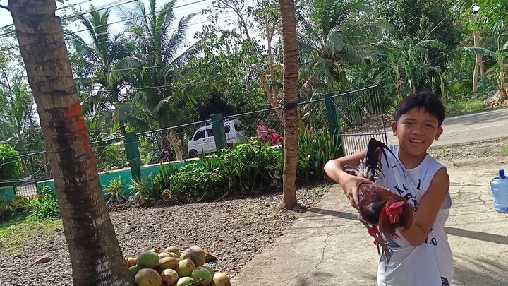 Battle of McLean Hatches