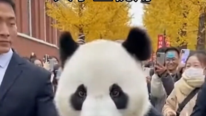 ماكرون في جامعة سيتشوان يكون هكذا