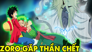 Trở Vê Từ Cõi Chết | 7 Nhân Vật Đánh Mãi Không Chết Trong One Piece
