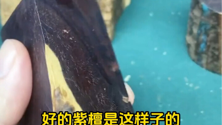 แนะนำความรู้เกี่ยวกับไม้: ไม้จันทน์แดง ไม้หวายทะเล ไม้กฤษณา