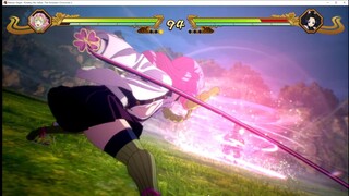 Insect Pillar, Hanako Kocho VS Love Pillar, Mitsuri Kanroji