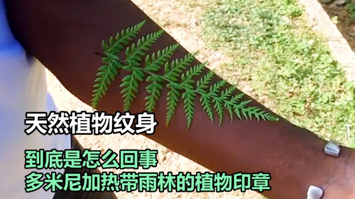 What on earth is a natural plant tattoo?