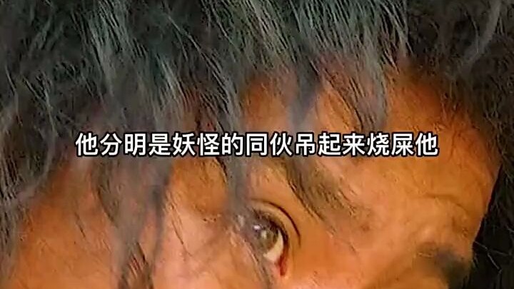 “Gần như một kiệt tác, là ranh giới giữa hài hước vô lý và truyện cổ tích đen tối!”