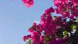 korean song lyrics english