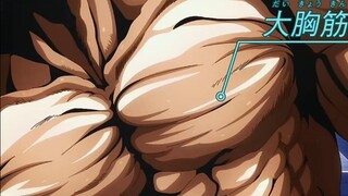 范马勇次郎的肌肉和他一比那纯度实在太低了，