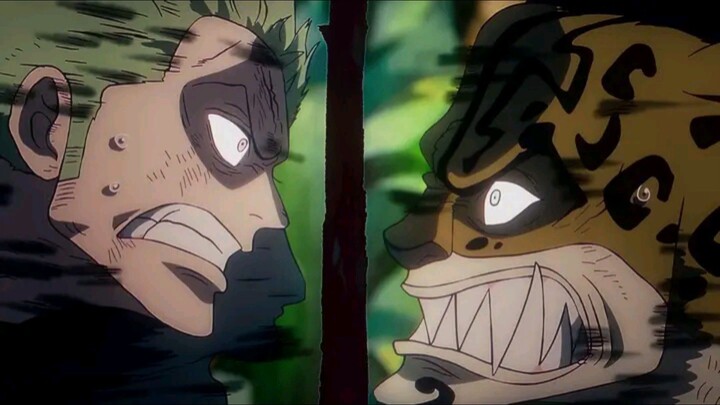 FULL FIGHT RORONOA ZORO VS ROB LUCCI