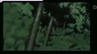 naruto vs pain