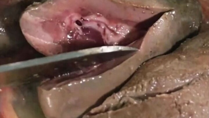 Billionaire Stumbles Into a Cannibal Banquet—And the Guests’ Greedy Gaze and Glinting Knives Are All