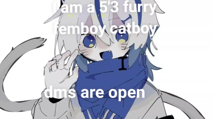 Femboy  #femboy #catboy #furry #goodboy