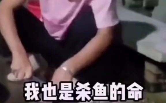 عائلة جدّة الصيد