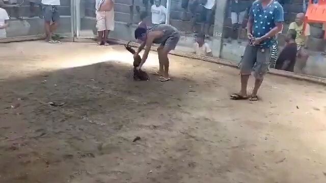 lupit mo nokis ko